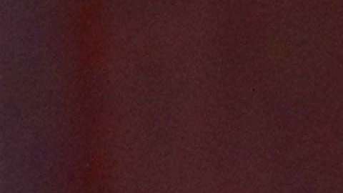 Ghana fue el punto de partida para la Primera Dama