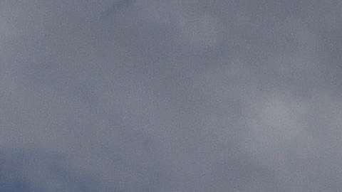 El Servicio Secreto responde de la seguridad del presidente y su familia.