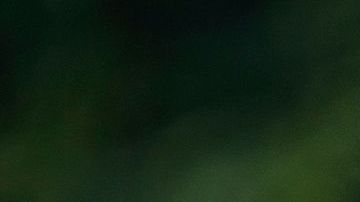 La Policía de Chicago y agentes del Servicio Secreto se reunieron, el lunes, para diseñar estrategias en materia de seguridad de cara a la Convención Nacional Demócrata.