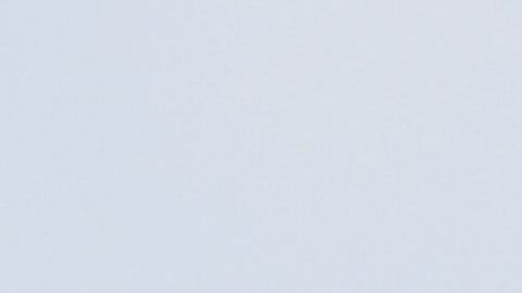 En junio, la Primera Dama visitó a niños inmigrantes separados de sus padres.