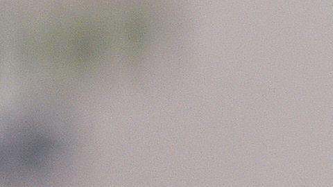 Lopez Obrador se posesionará como presidente de México el 1 de diciembre