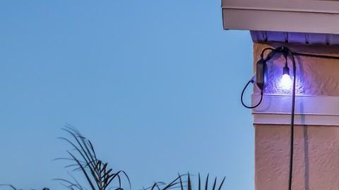 Lo que parecía un elemento decorativo en realidad era verdadero.