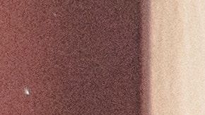 La depresión ¿es el origen o la consecuencia?