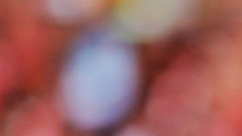 Cristiano Ronaldo enfrenta una denuncia por presunta violación en Las Vegas