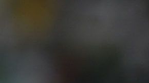 Javier "Chicharito" Hernández vive en plenitud un gran romance