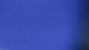 La relación de "Chicharito" Hernández con Sarah Kohan va viento en popa