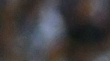 Rayados recibe a Gallos Blancos en el último duelo de cuartos de final de la Copa MX