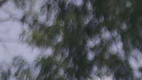 El club América tuvo un día de entrenamiento distinto a los demás