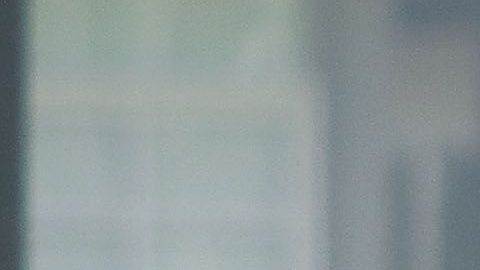 El delantero de Tigres, Jürgen Damm, forma parte de la lista de convocados contra los ticos