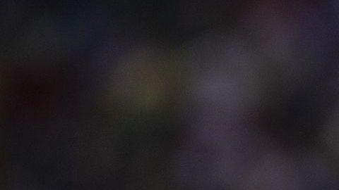 Hirving Lozano está tazado actualmente en $46 millones de dólares