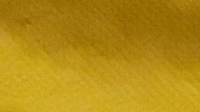 El activista de la organización Sin Fronteras, Irineo Mújica