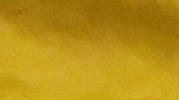 El activista de la organización Sin Fronteras, Irineo Mújica