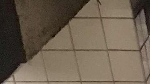 El suicida se lanzó contra el tren de la línea A.