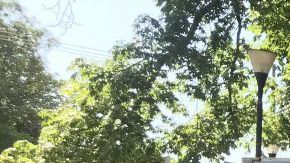 Campamento de migrantes de la caravana. Gardenia Mendoza