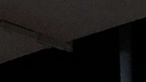 Rostros de jóvenes hispanos fueron representados con elementos de su origen.