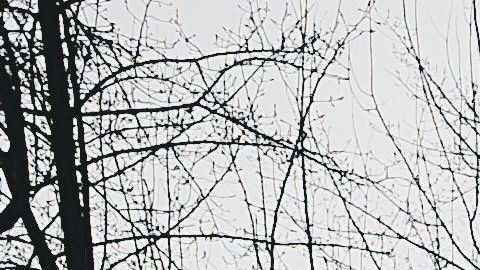 Si tu vehículo se mueve de un lado para el otro, necesita ser alineado