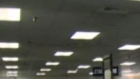 ¿Cómo funciona el sistema de puntos de licencias del DMV?