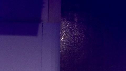 Presentación de la telenovela "Like"