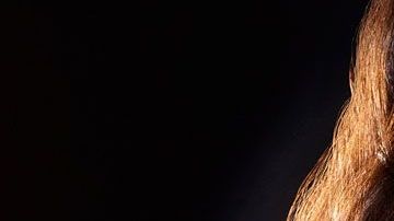 Liv Tyler luce espectacular.