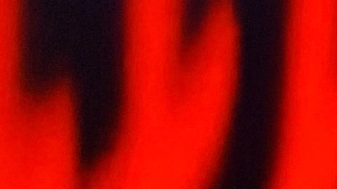 Ana María Polo y Maluma se besaron en los Latin AMAs 2018