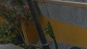 El hombre reconoció a su ex por la vestimenta.