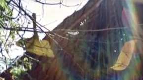 Violencia en Quintana Roo.