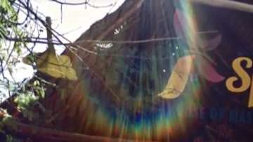 Violencia en Quintana Roo.