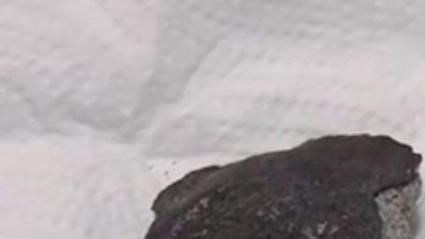 El meteorito cabe en la palma de la mano.