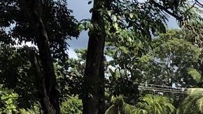 El joven tenía 25 años,