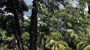 El joven tenía 25 años,