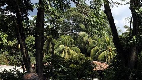 El joven tenía 25 años,