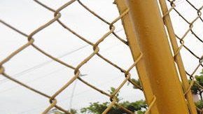 Quieren entrar a México