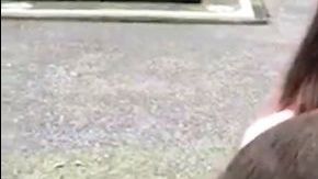 Los primates en plena acción