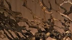 El Papa Francisco pide a los salvadoreños seguir el ejemplo de Romero frente a las adversidades. Foto: María Peña/Impremedia