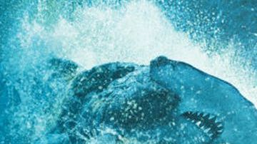 Pirates of the Caribbean