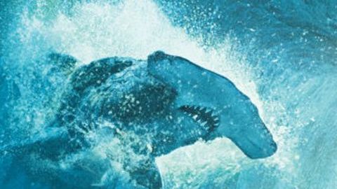 Pirates of the Caribbean