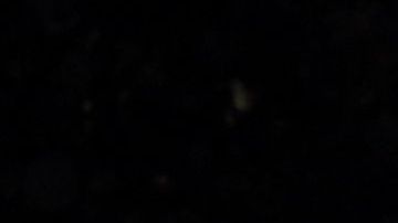 Fue trasladado a Nuevo León.