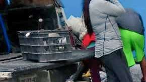 Violencia en el Estado de México.