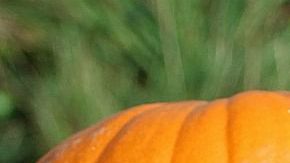 No se trata solo de un elemento decorativo de estas fechas.