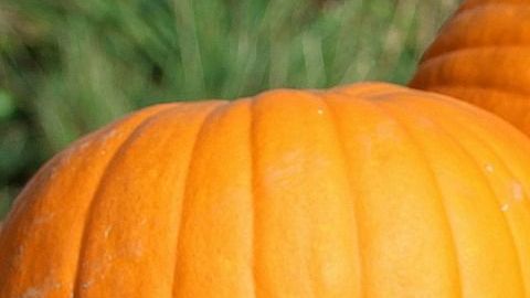 No se trata solo de un elemento decorativo de estas fechas.