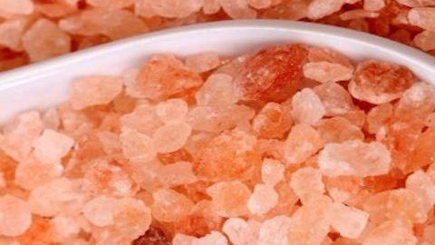 Promueven una mejor convivencia con la sal