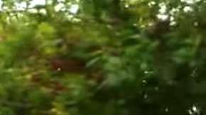 Este hombre lleva 20 años sirviendo a su comunidad, haciendo recados para todos.