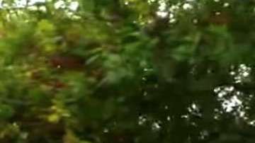 Este hombre lleva 20 años sirviendo a su comunidad, haciendo recados para todos.