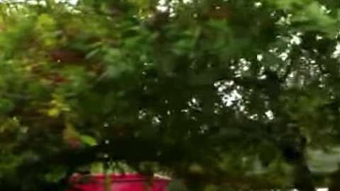 Este hombre lleva 20 años sirviendo a su comunidad, haciendo recados para todos.