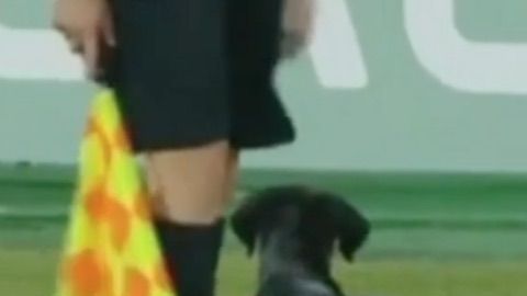 Screen Shot 2018-10-09 at 10.23.07 PM