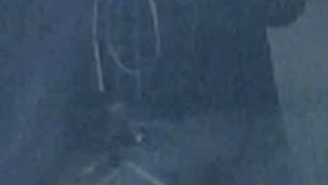La foto que se hizo viral y que es, supuestamente, de un fantasma.