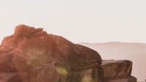 Se está intentando localizar a esta pareja.