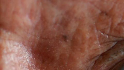 shutterstock_1024444042