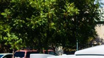 shutterstock_1117897193