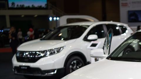 shutterstock_1123028357